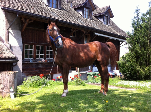 mairitt 007 (640x478)