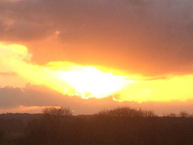 iphone april 2016 412